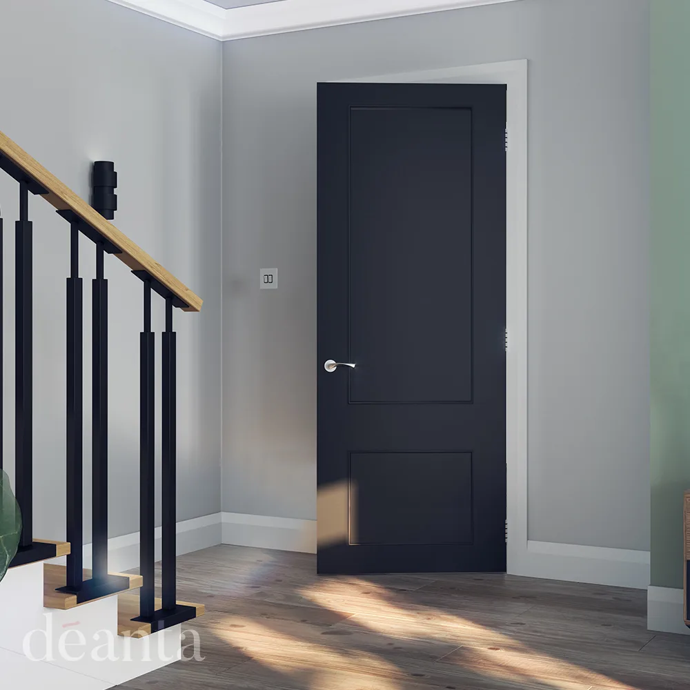 Strong black contemporary internal door